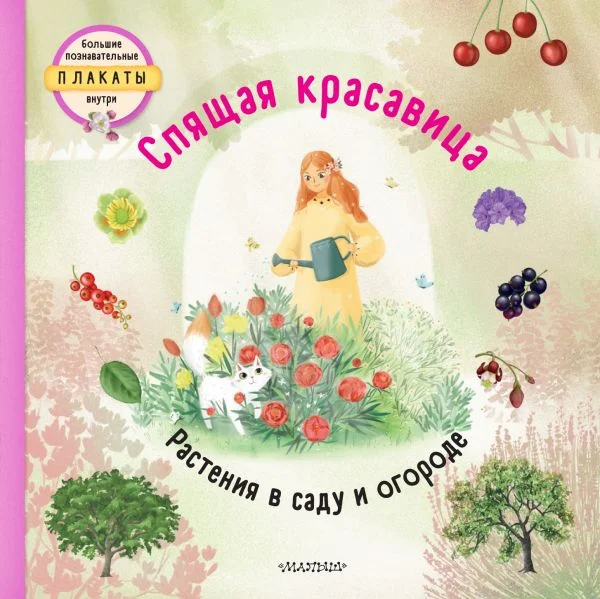 

Спящая красавица