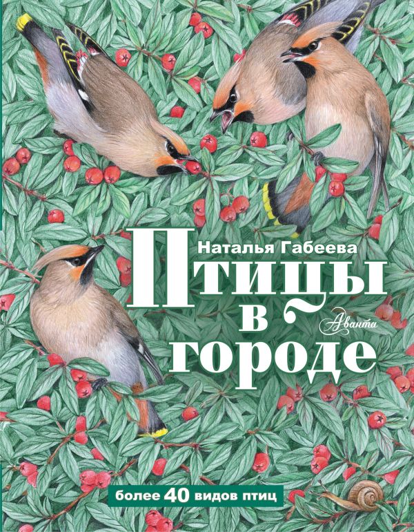 

Птицы в городе