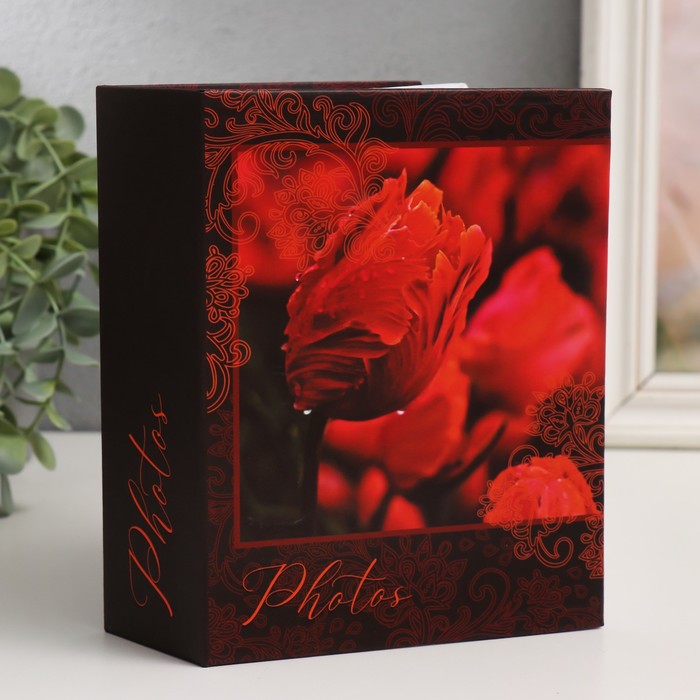 

Фотоальбом на 100 фото "tulip" 10х15 см, Коричневый;красный