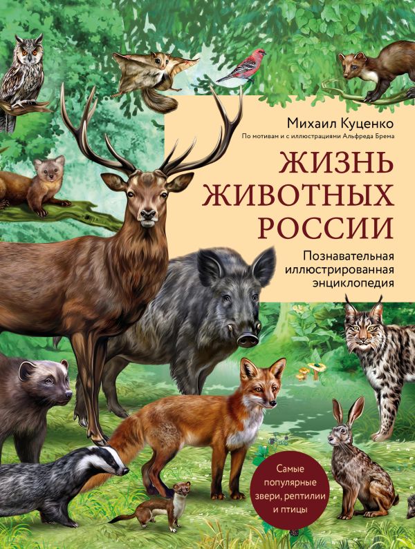 Книга Жизнь животных России. Познавательная иллюстрированная энциклопедия 100032762085