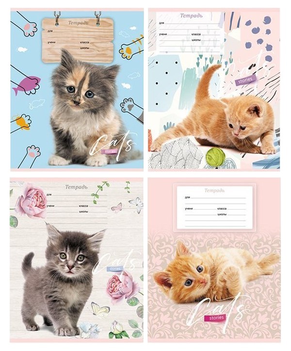 

Тетрадь школьная BG Cat story косая линейка 12 листов A5 1 шт, Cat story