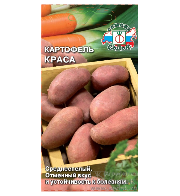 

Семена Картофель СеДеК Краса 2 кг