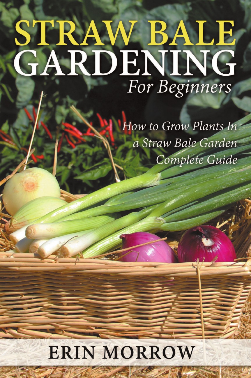 

Straw Bale Gardening For Beginners