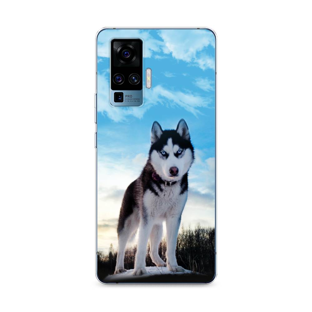 Чехол Awog на Vivo X50 Pro 