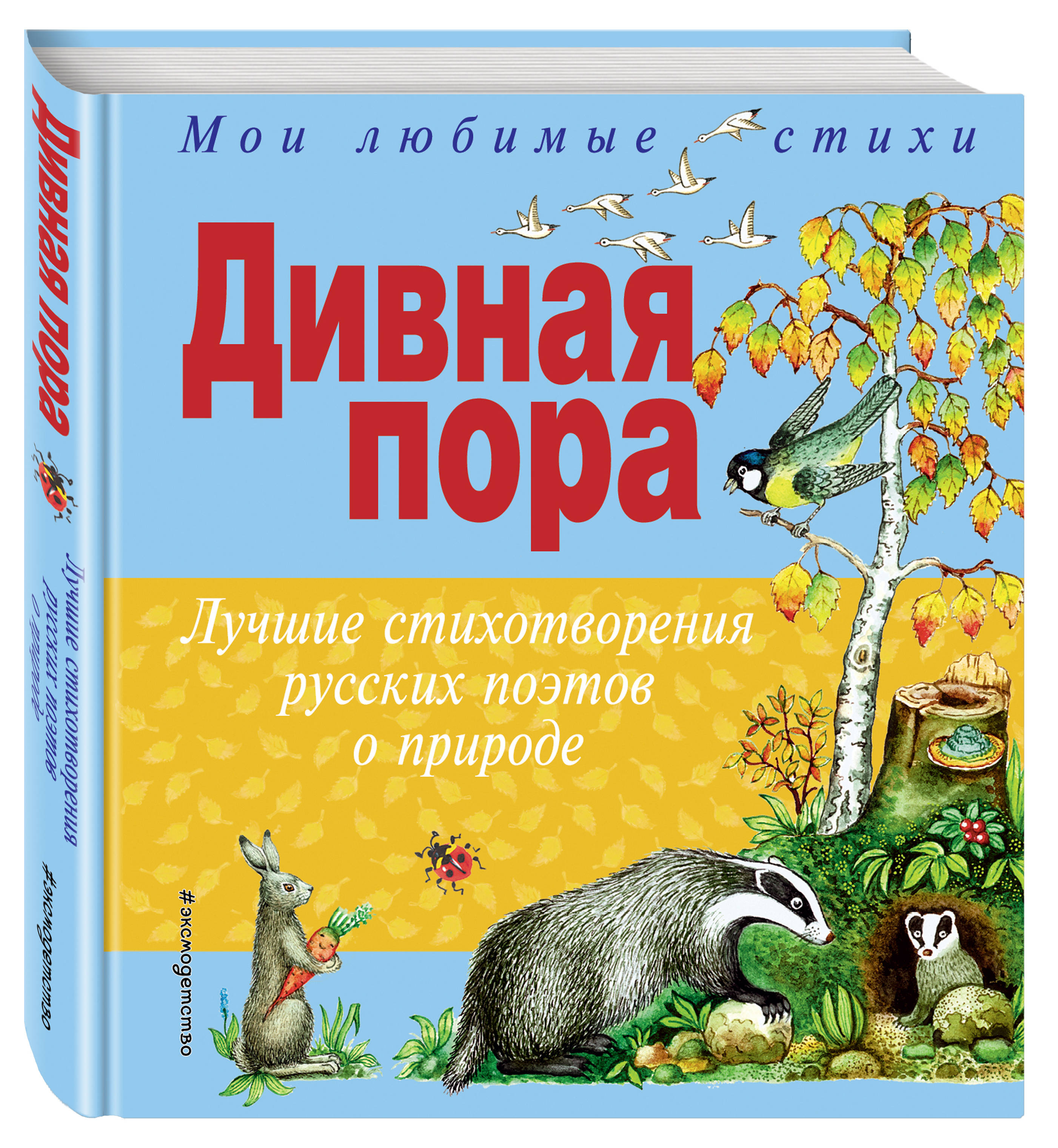 

Дивная пора Лучшие стихотворения русских поэтов о природе