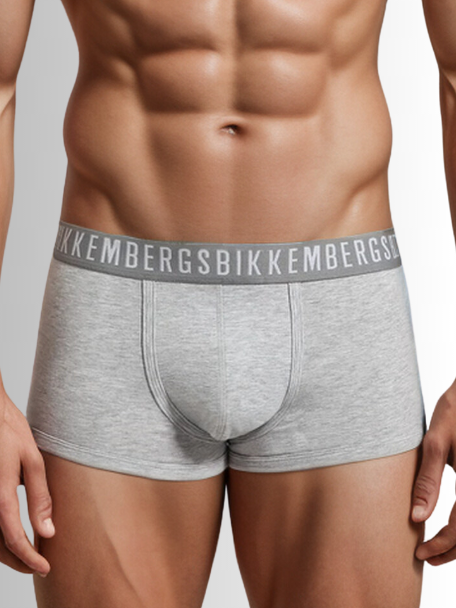 

Комплект трусов мужских Bikkembergs BKK1UTR02TR серых XL, 3 шт., Серый, BKK1UTR02TR