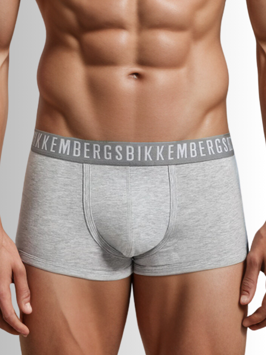 Комплект трусов мужских Bikkembergs BKK1UTR02TR серых L, 3 шт.