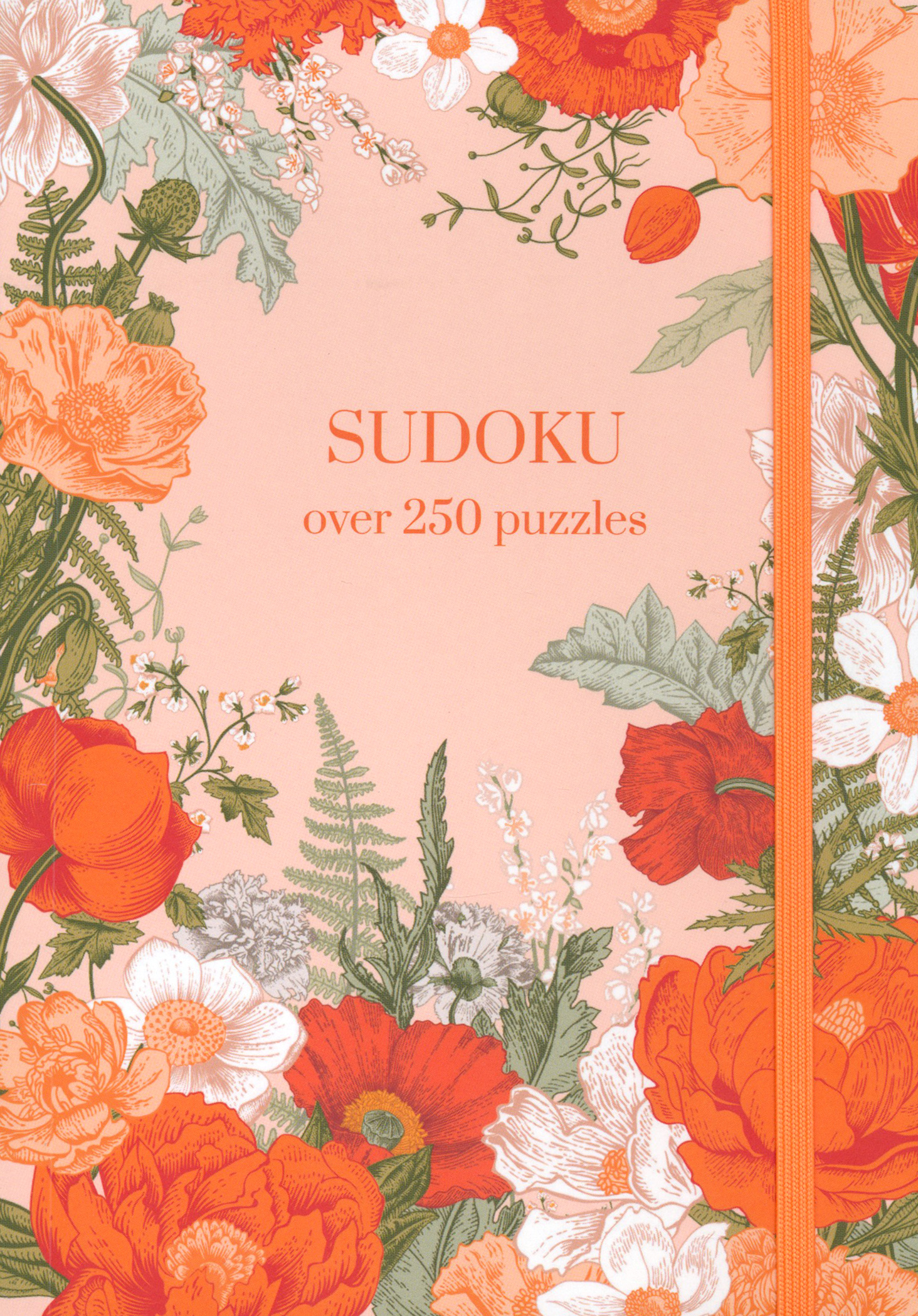 

Sudoku Over 250 Puzzles