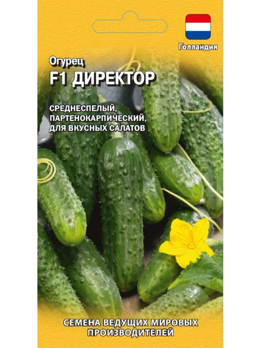 

Семена Гавриш Огурец Директор F1 5 упаковок по 5 семян