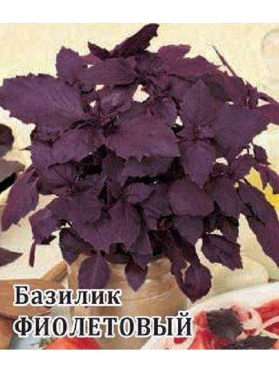 

Семена базилик Гавриш Фиолетовый 1999946302-21 2 уп.
