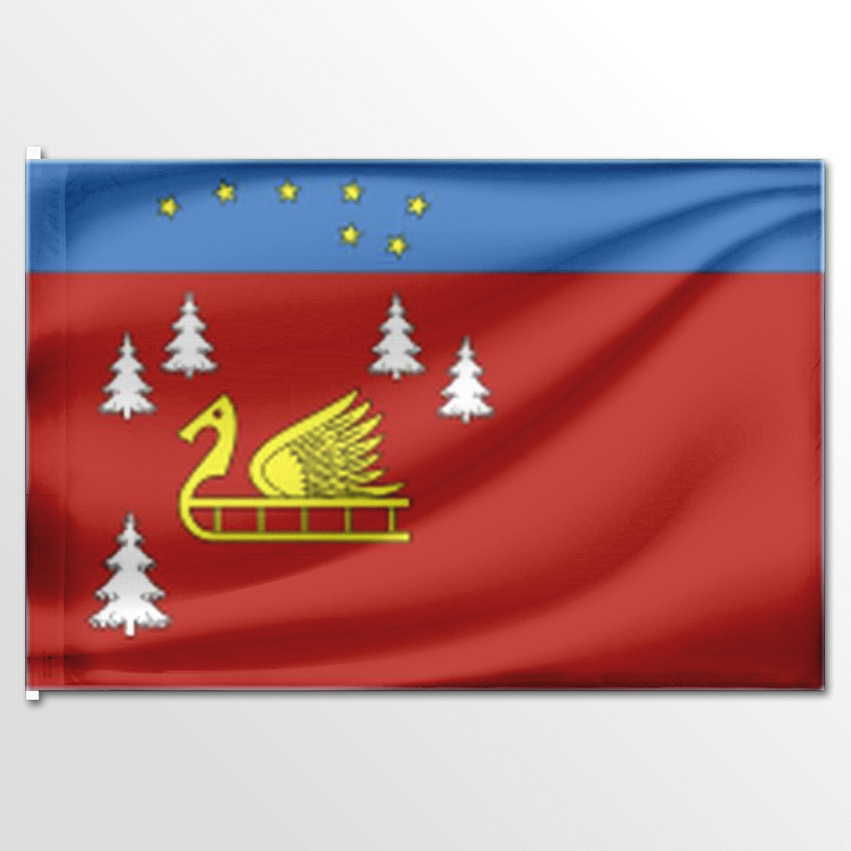 

Флаг ЦТП ФЕНИКС Красноозерного сельского поселения 135x90 см, 6490-135x90