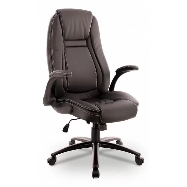 

Кресло руководителя Everprof Trend TM EVP_202511, черный