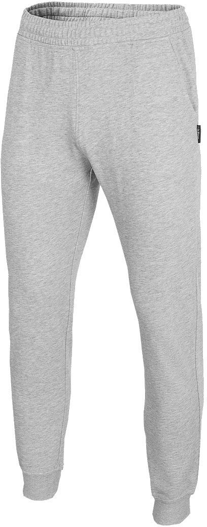 

Спортивные брюки мужские Outhorn HOZ20-SPMD600-20S серые 2XL, HOZ20-SPMD600-20S