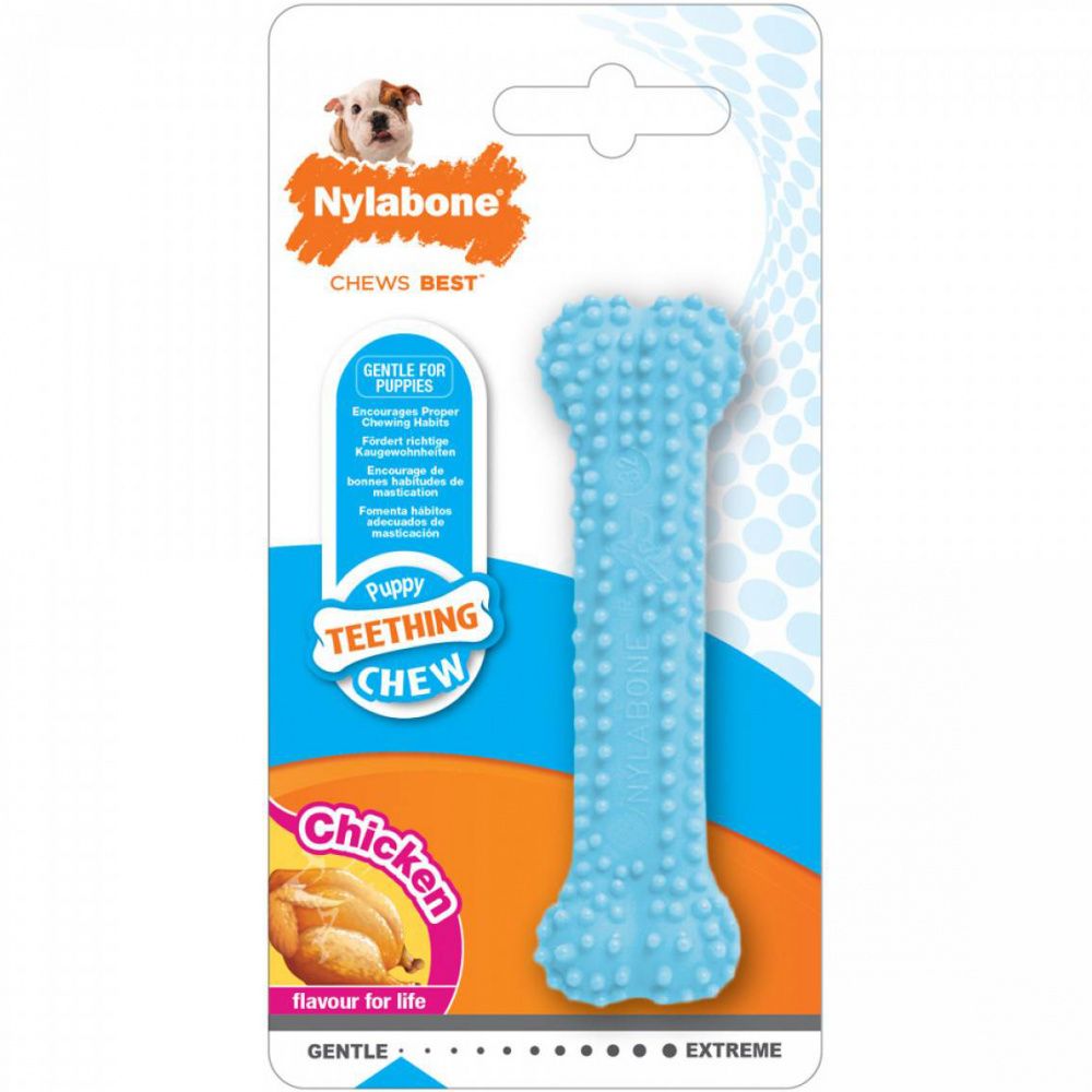 

Игрушка для щенков Nylabone Косточка Dental с ароматом курицы XS голубая