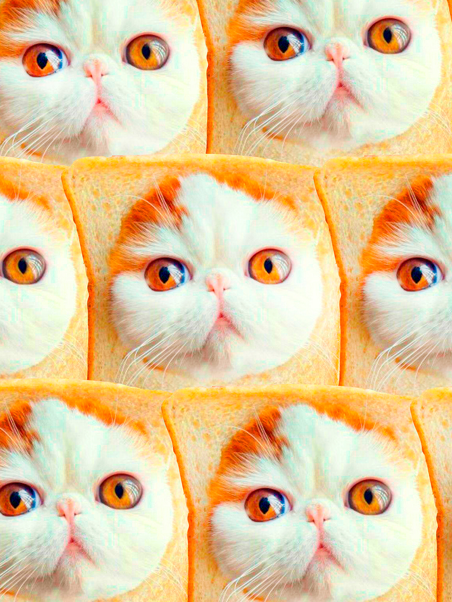 

Постер DRABS А3 Котенок Снупи
