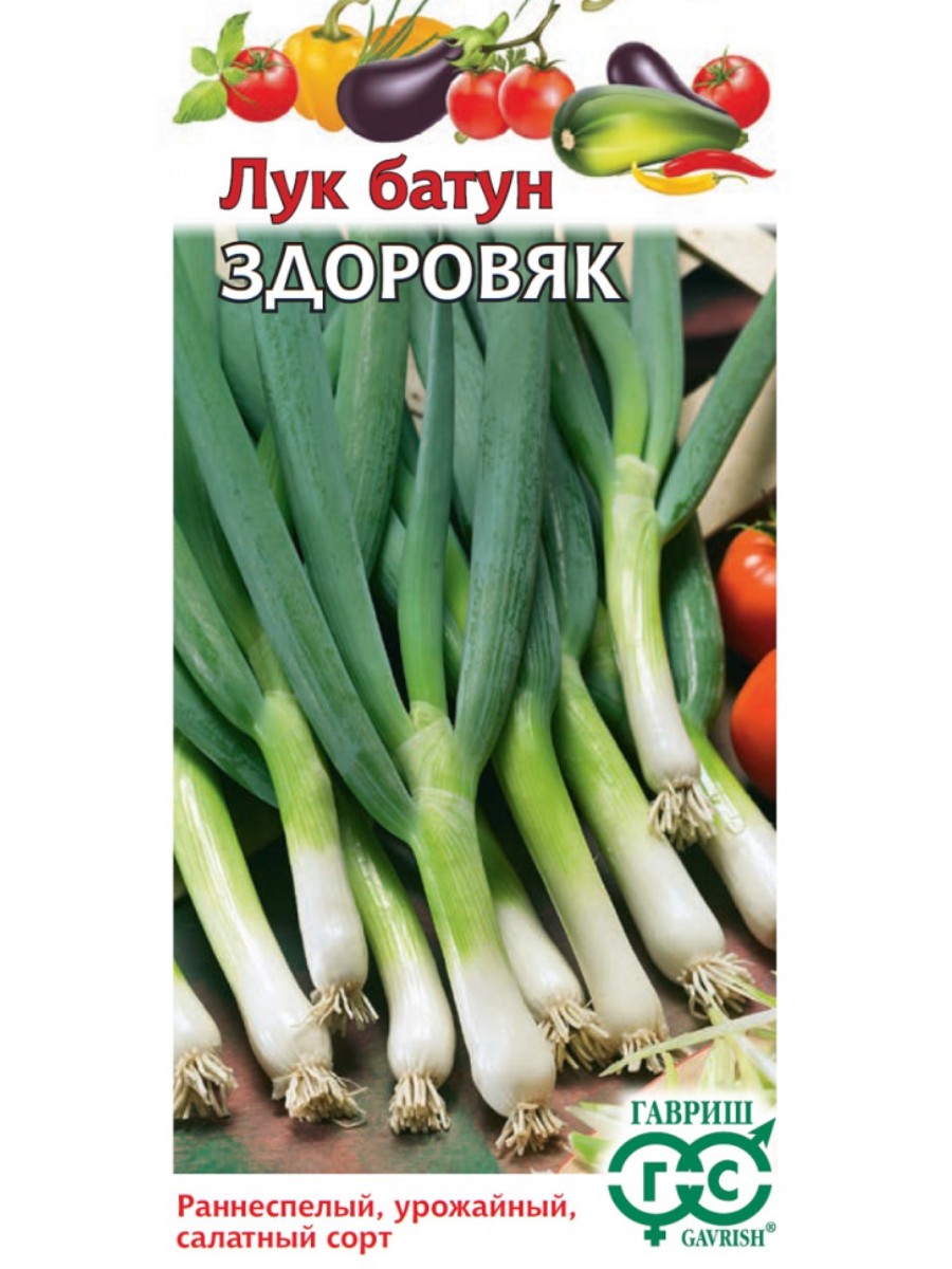 

Семена Гавриш Лук батун Здоровяк 10 упаковок по 05 гр.