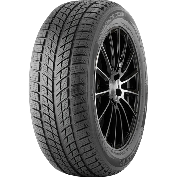 

Шины зимние Doublestar DW09 255/50 R19 107T, DW09