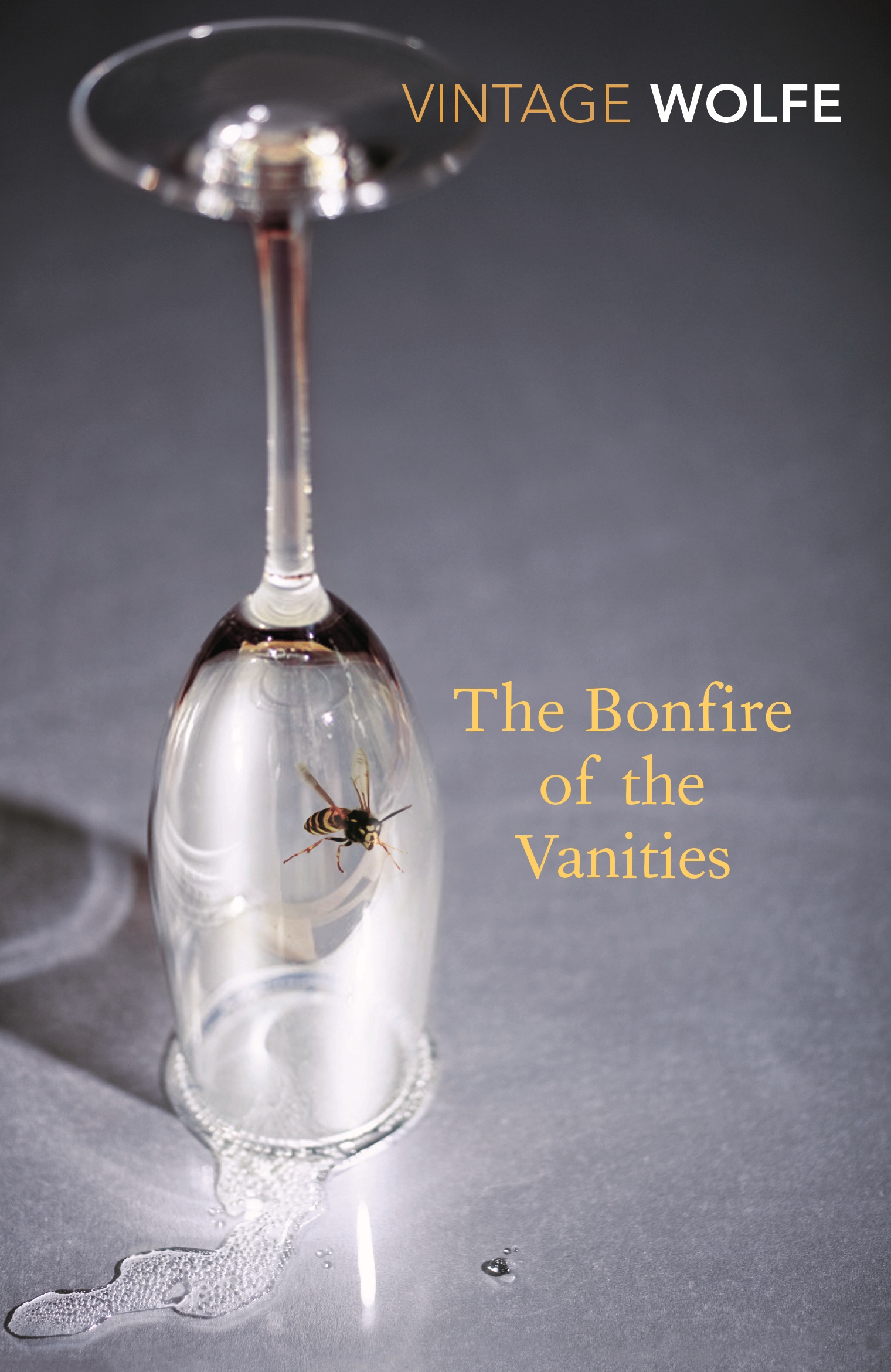 

Bonfire of the Vanities