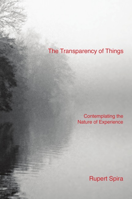 

The Transparency of Things