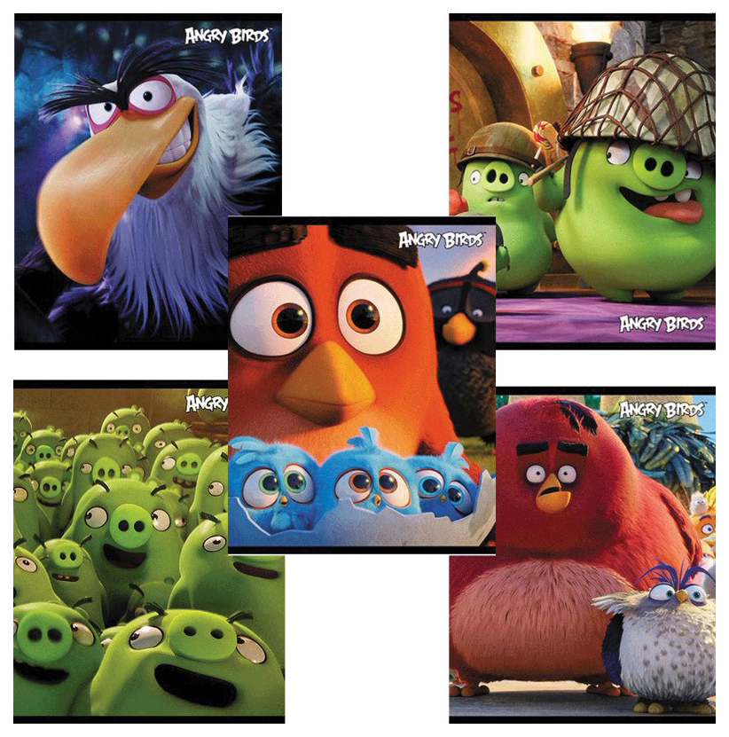 

Общая тетрадь Hatber Angry birds А5 в клетку 48 л