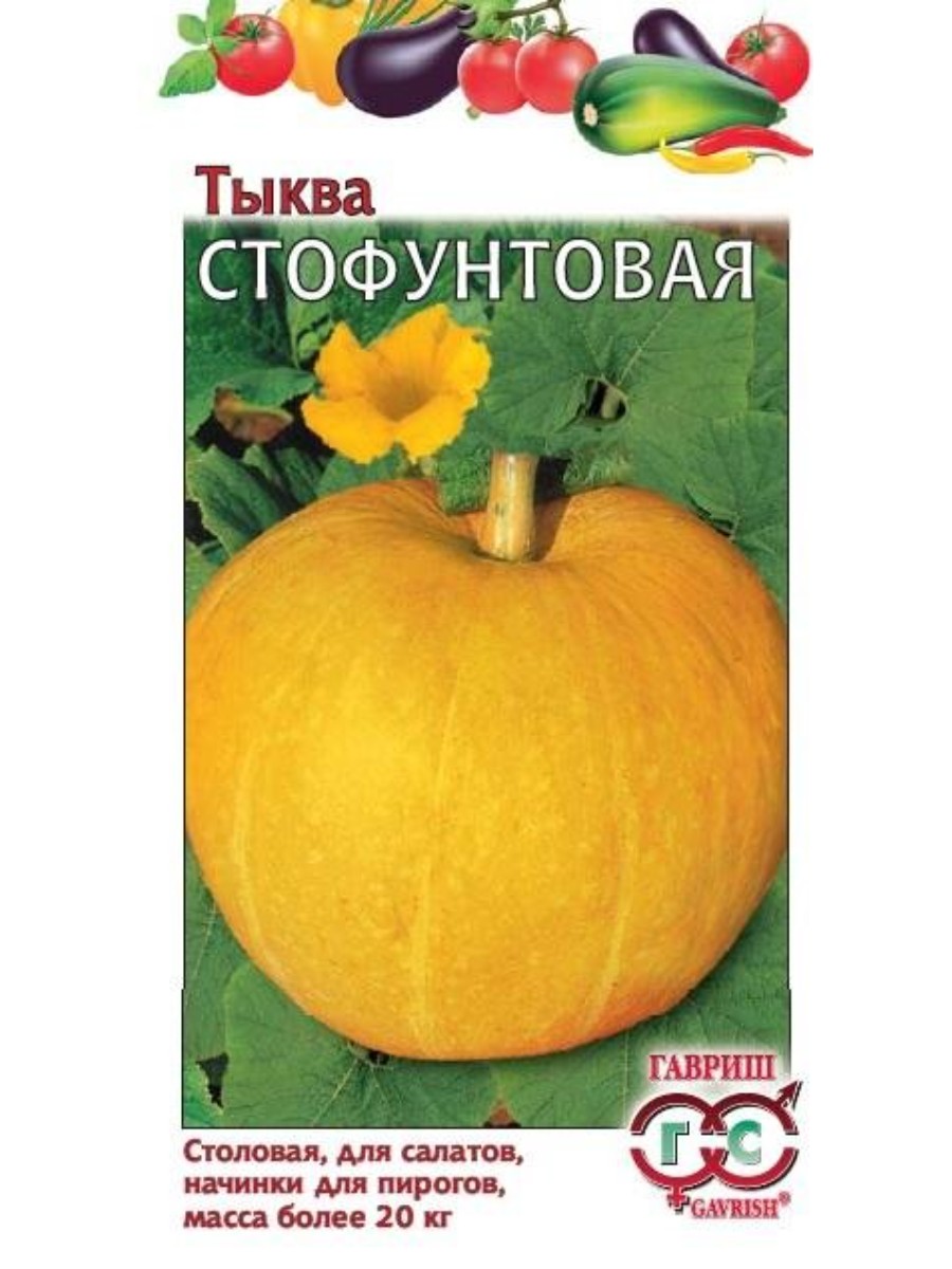 

Семена Гавриш Тыква Стофунтовая 10 упаковок по 2 гр.