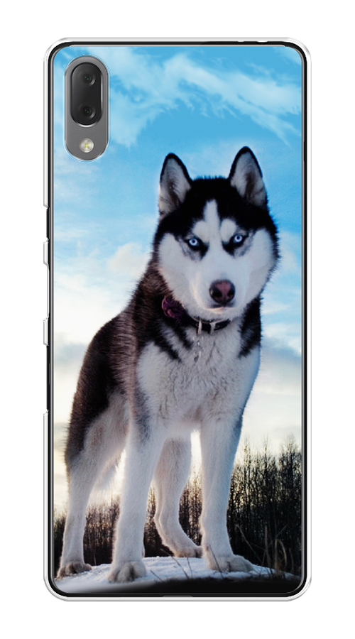 

Чехол Awog на Sony Xperia L3 "Хаски 3", Разноцветный, 54450-2