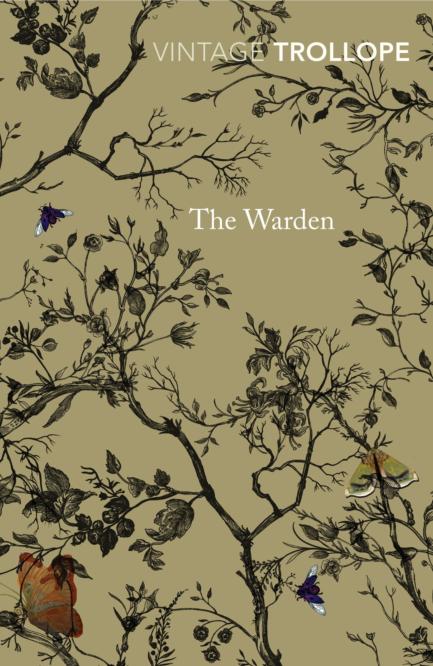 

The Warden