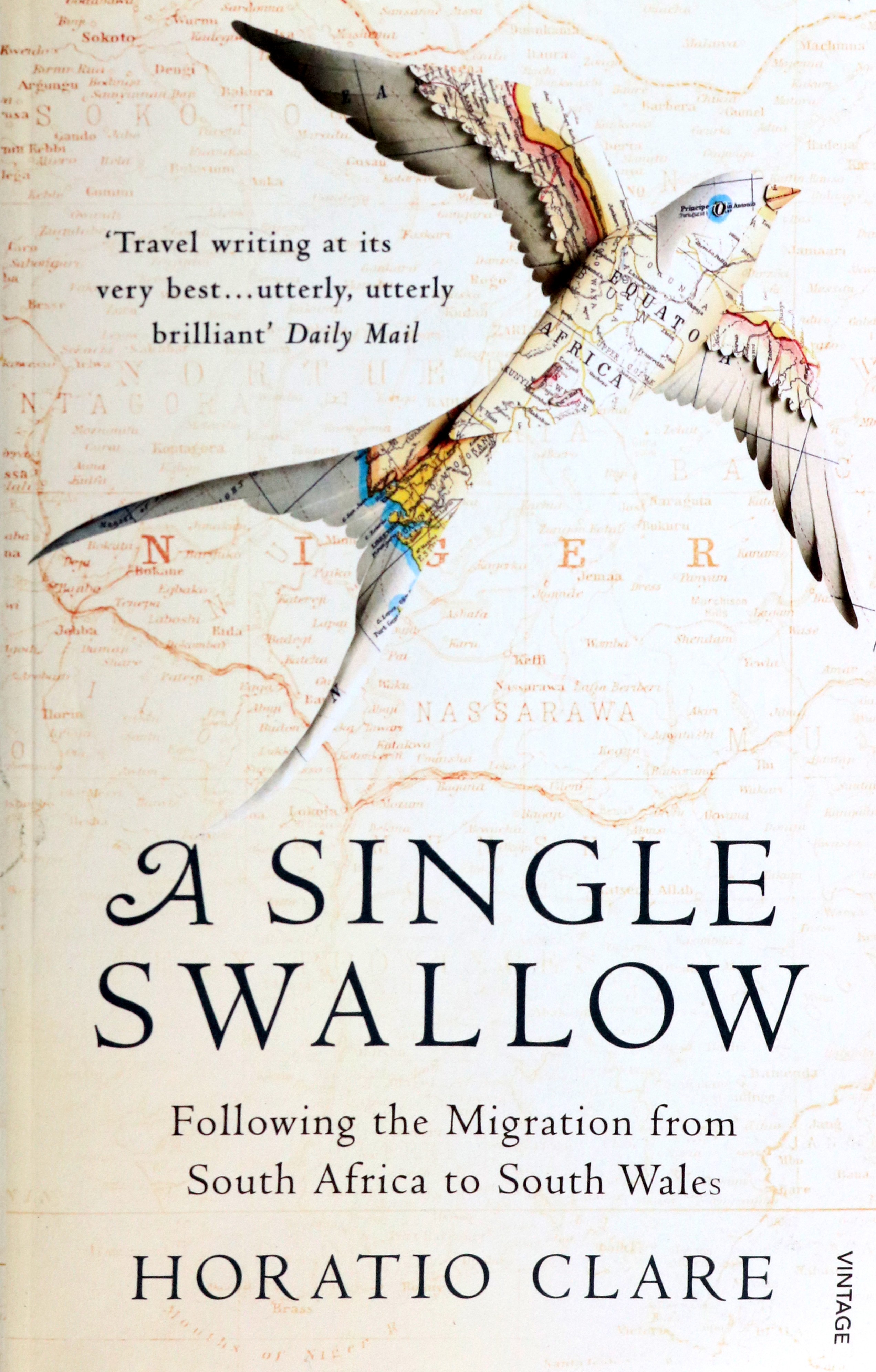 

A Single Swallow Following An Epic Journey From South Africa To South Wales