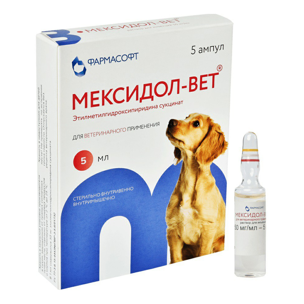 Лекарственный препарат Мексидол-Вет для кошек и собак 5% 1 ампула 5 мл раствор