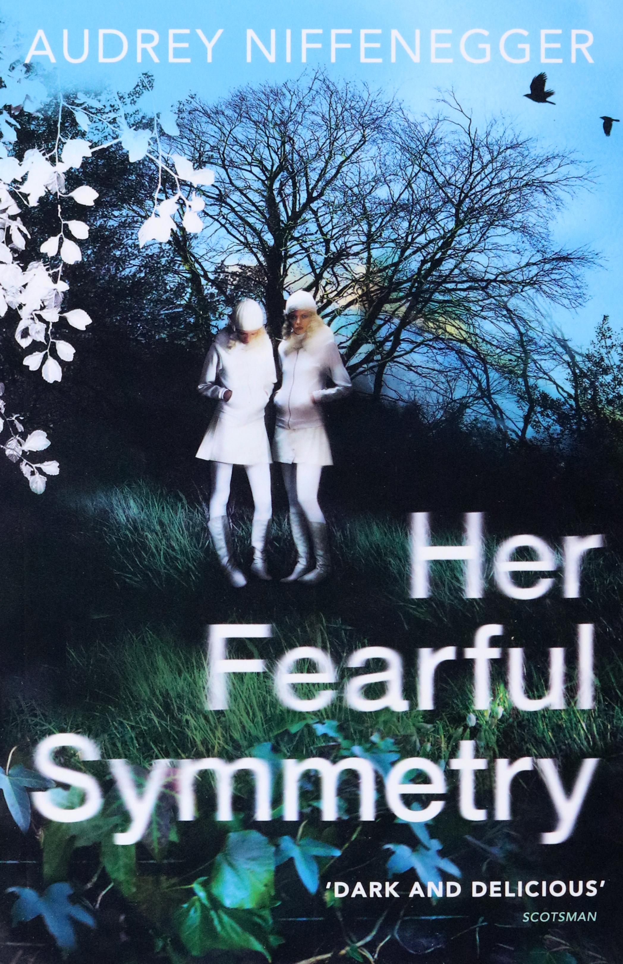 

Her Fearful Symmetry