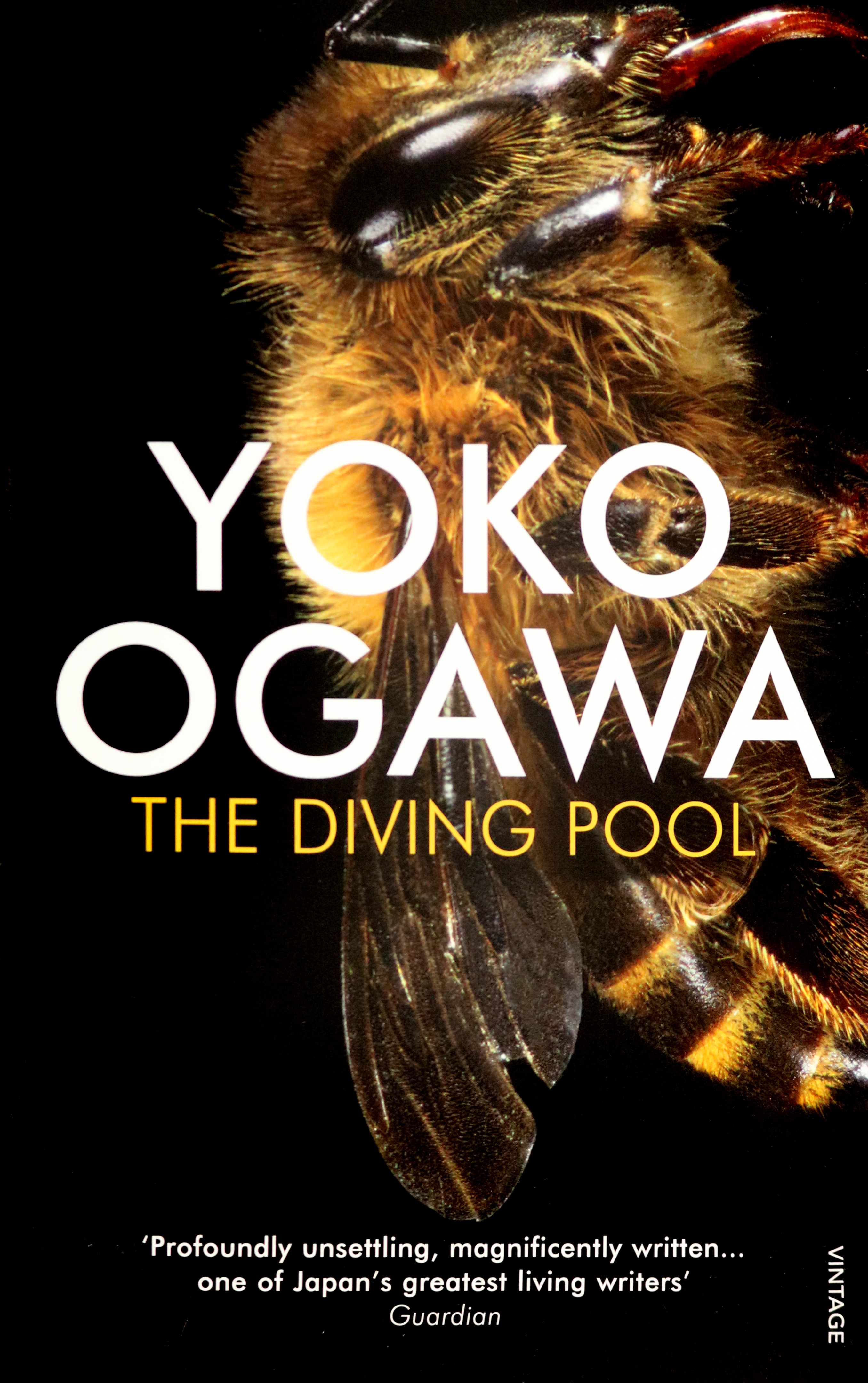 

The Diving Pool
