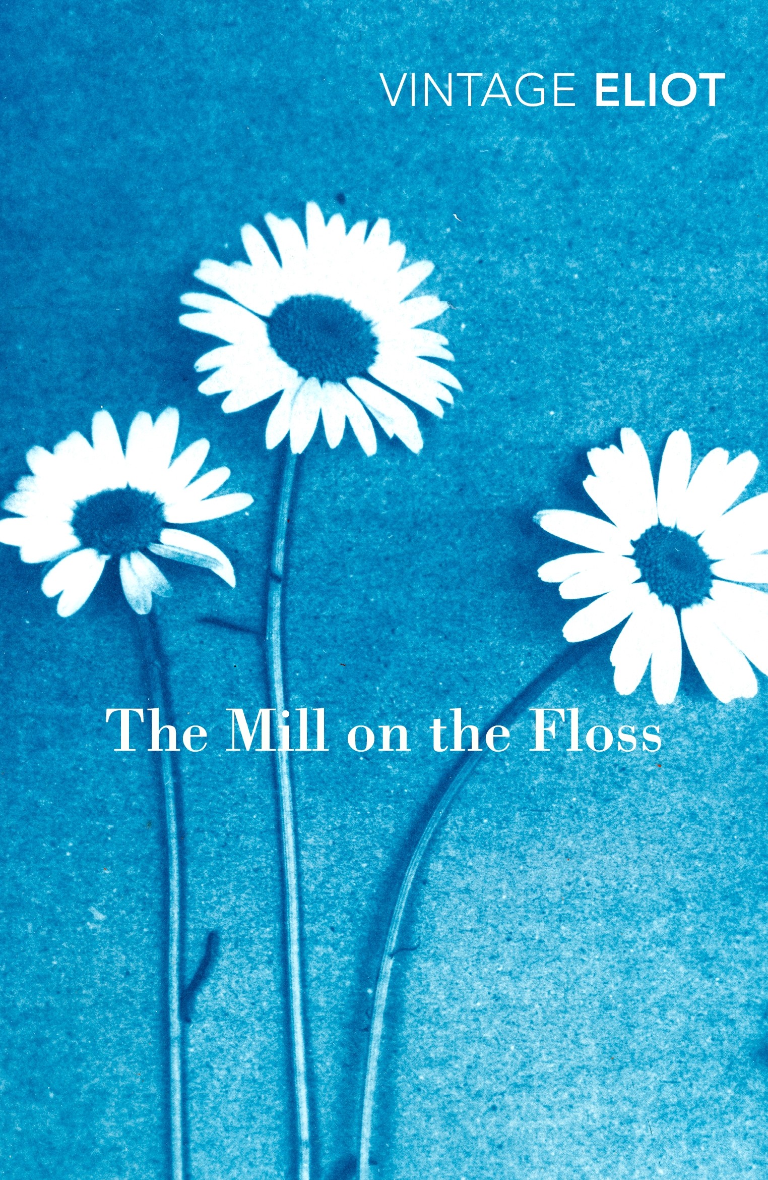 

The Mill on the Floss