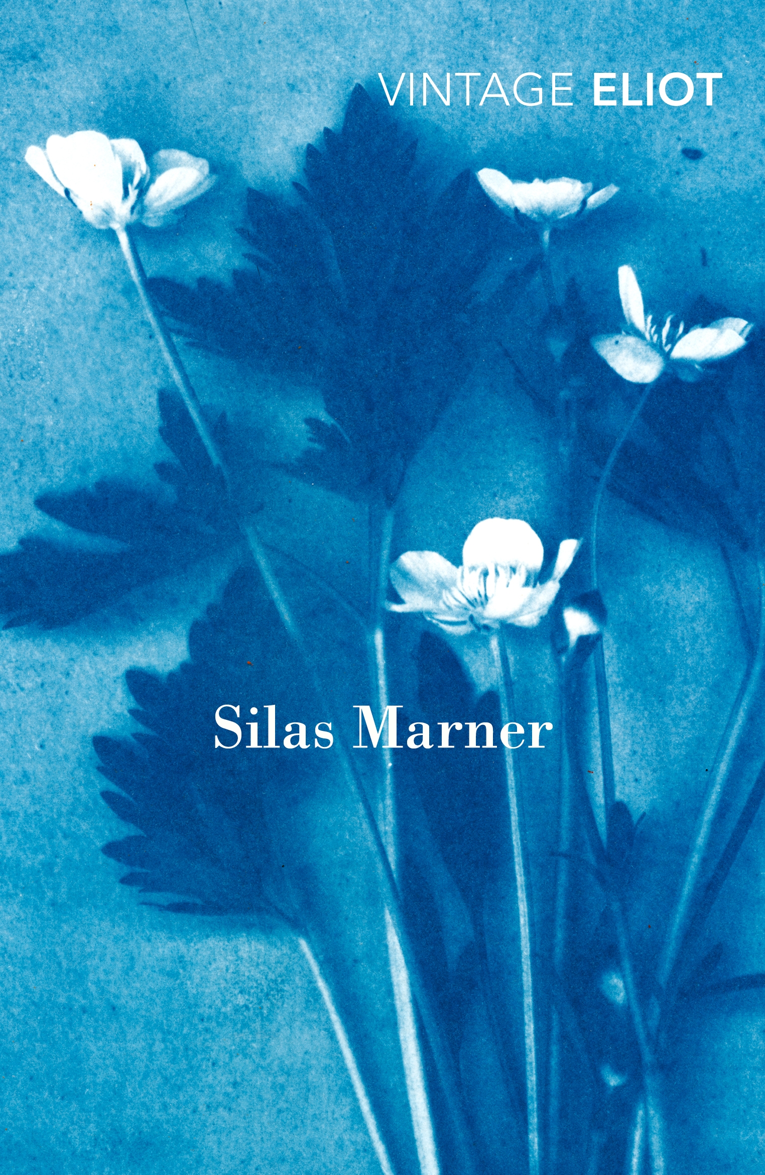

Silas Marner