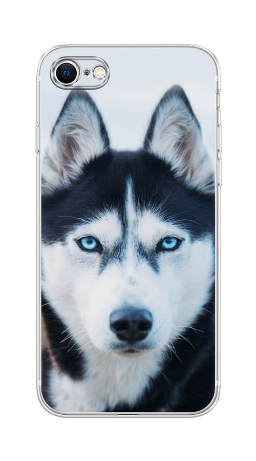 

Чехол на Apple iPhone 8 "Хаски 2", Синий;белый, 10850-1