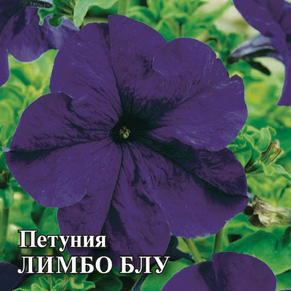 

Семена петуния Лимбо Блу Гавриш 1071856164-1 1 уп.