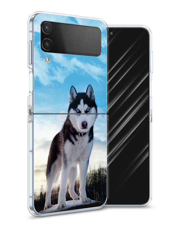 

Чехол Awog на Samsung Galaxy Z Flip 4 / Самсунг Z Flip 4 "Хаски 3", Разноцветный, 2106650-2