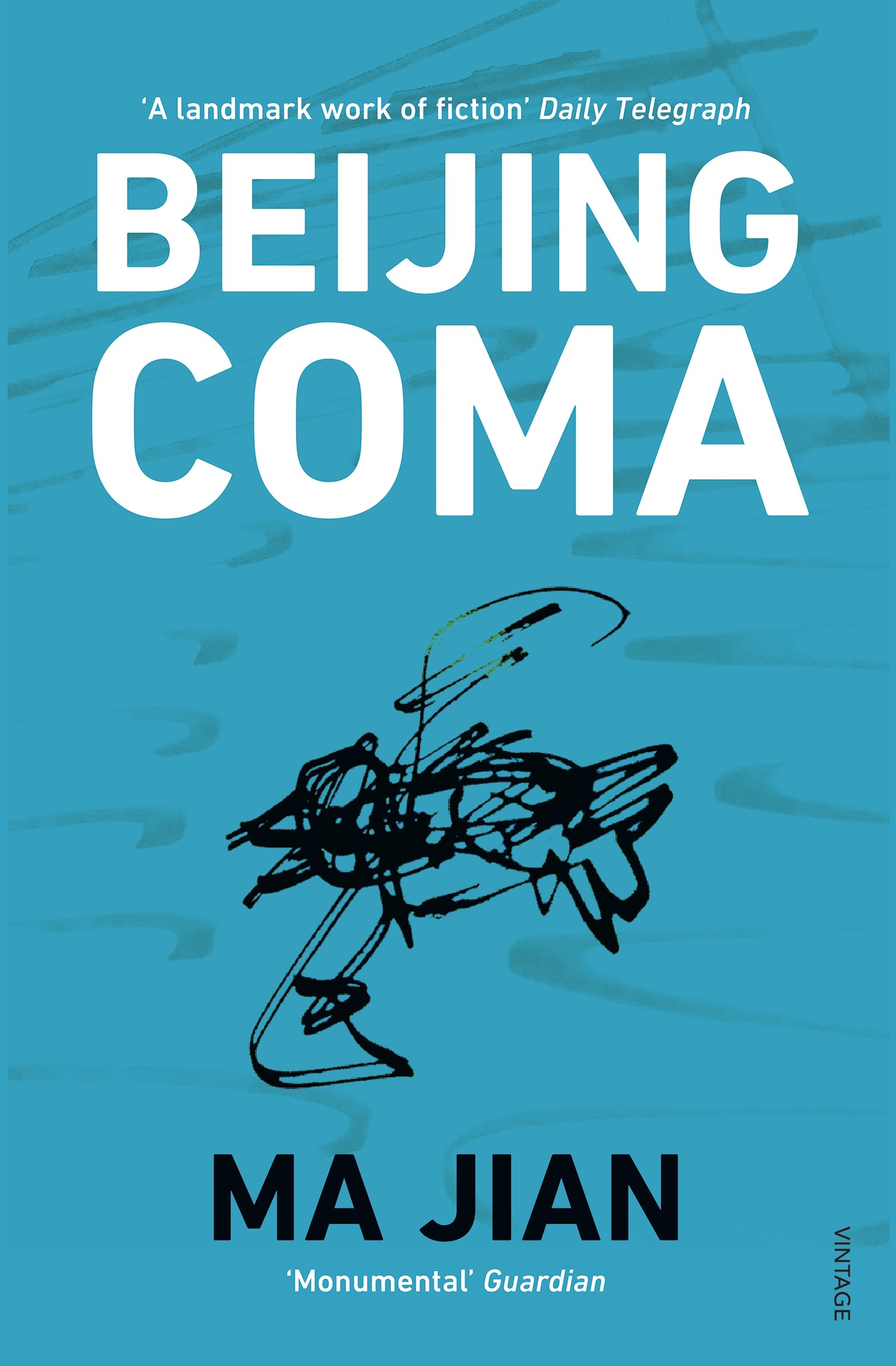 

Beijing Coma