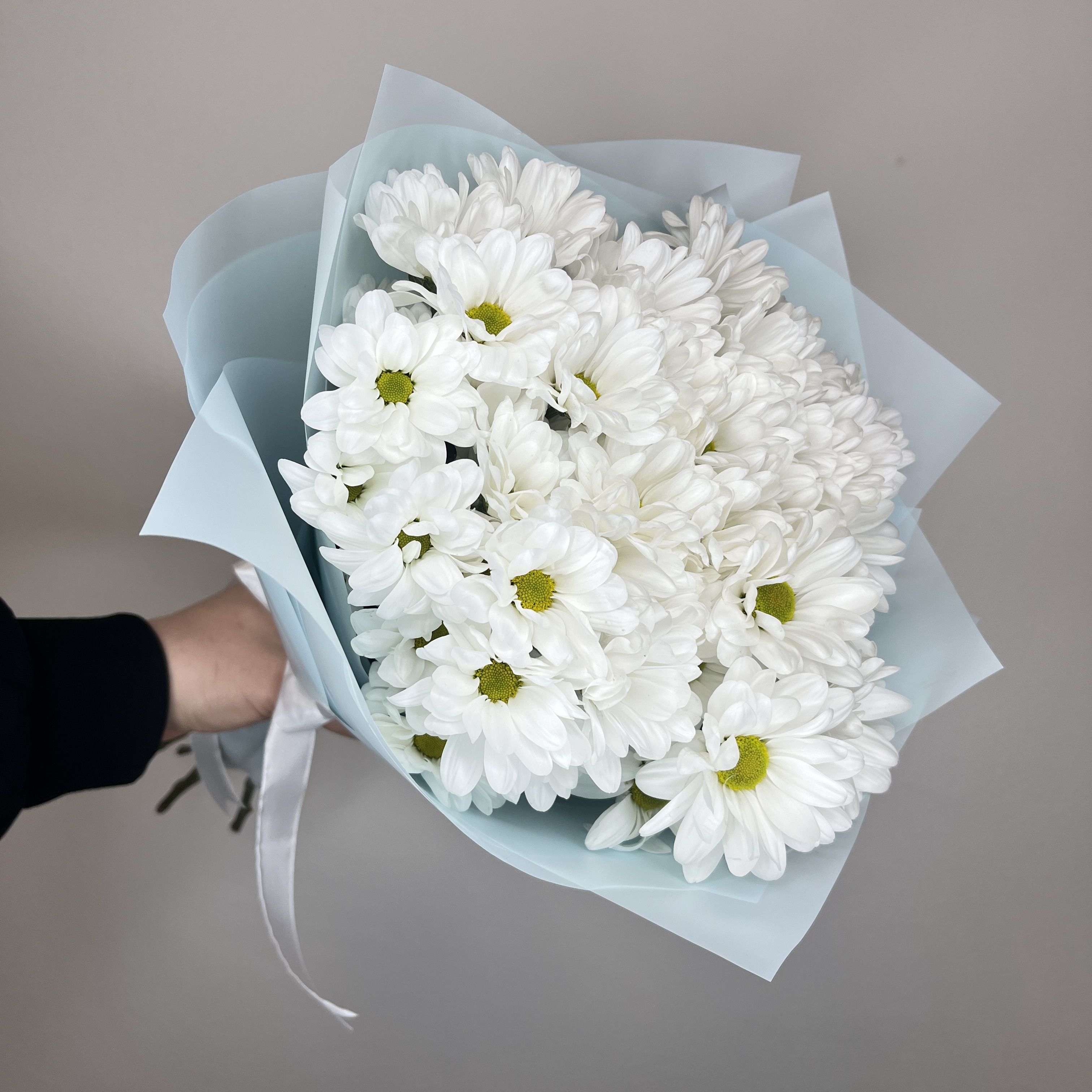 

Букет Lola из 7 кустовых ромашек, Хризантема Чик_45