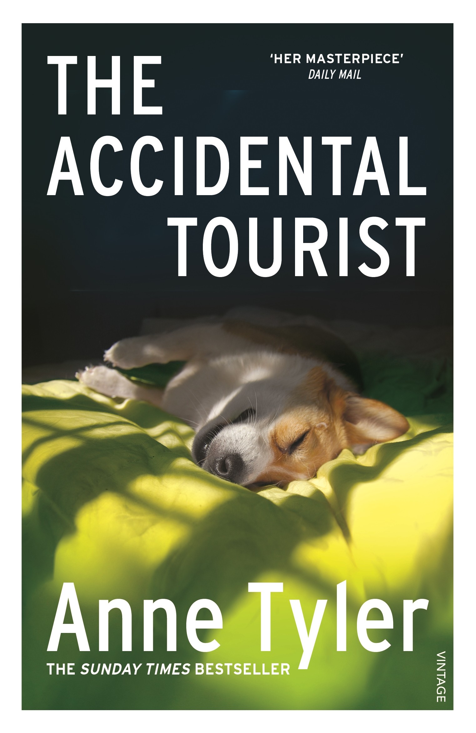 

The Accidental Tourist