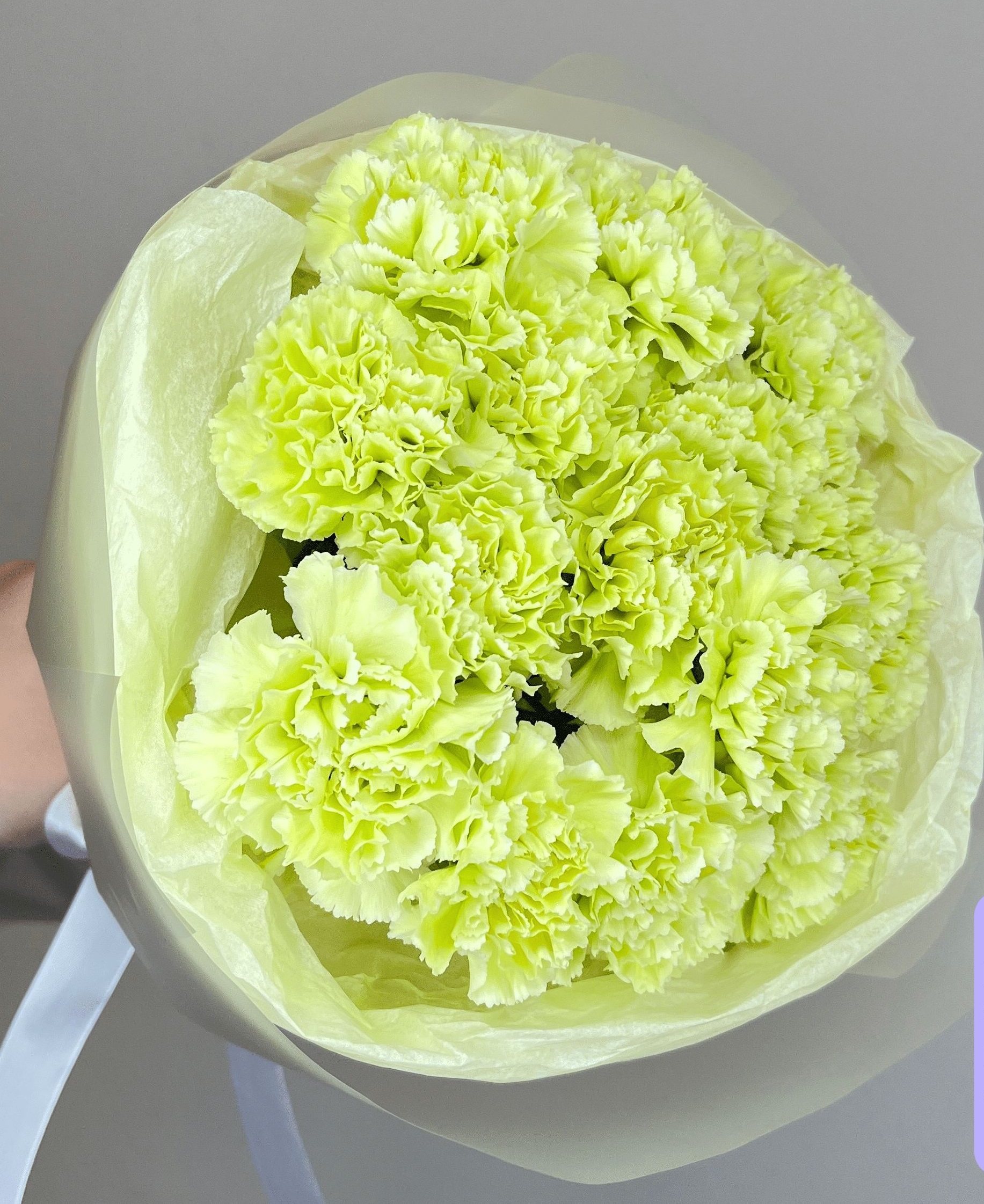 

Букет Green Garden из 15 зеленых диантусов, Диантус