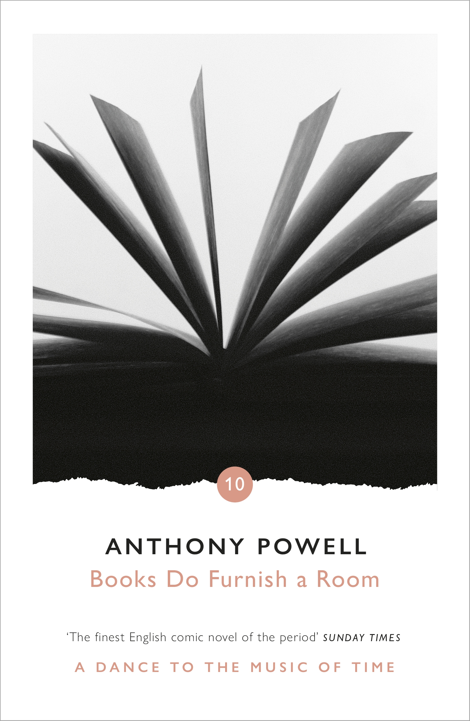

Books Do Furnish A Room