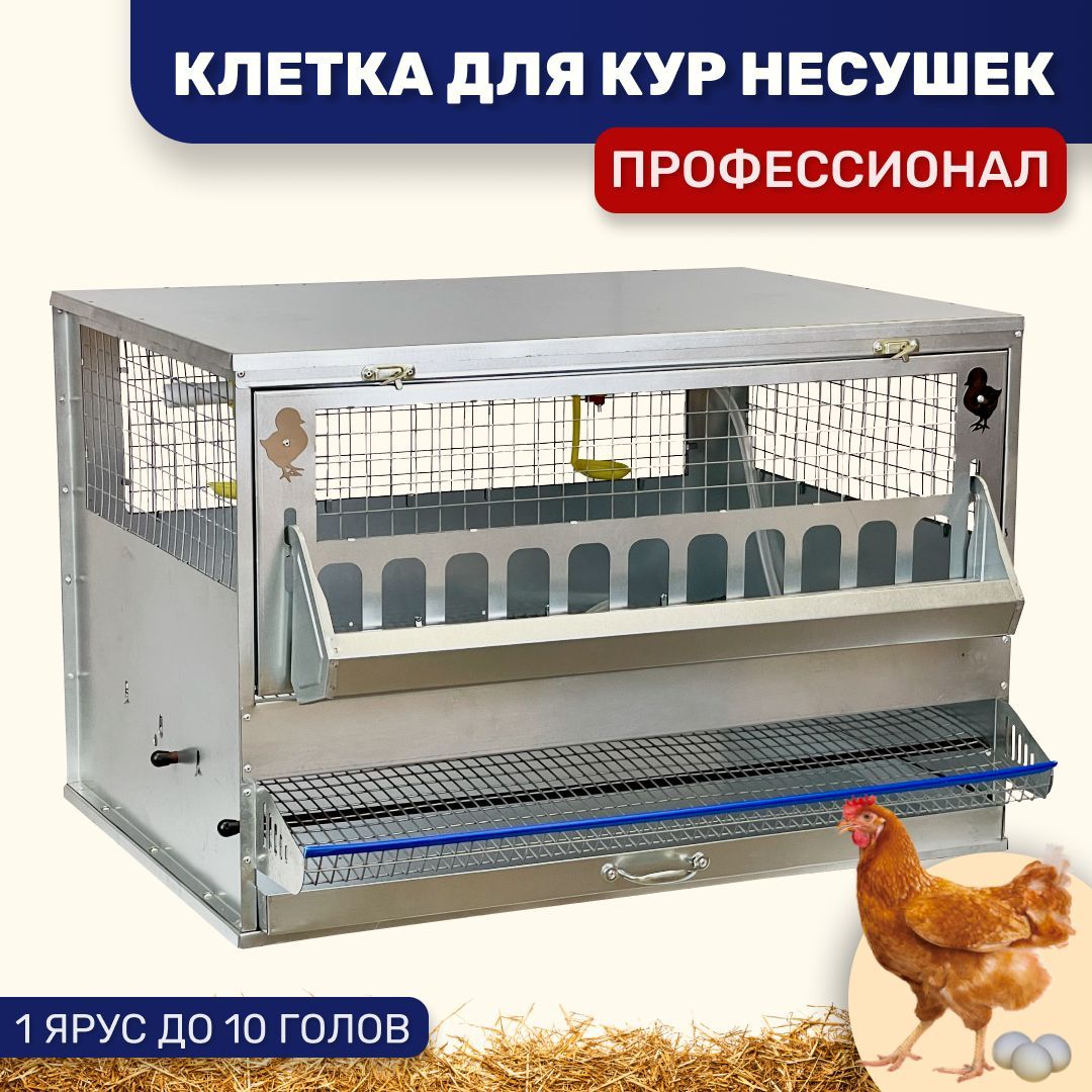 Клетка для кур Удачный фермер, 7-10 голов, в ассортименте, металл, 57x85x60 см