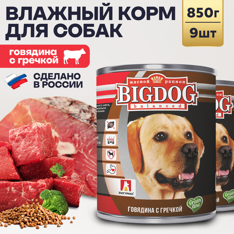 

Консервы для собак ЗООГУРМАН Big Dog, говядина с гречкой, 9шт по 850г, Big Dog