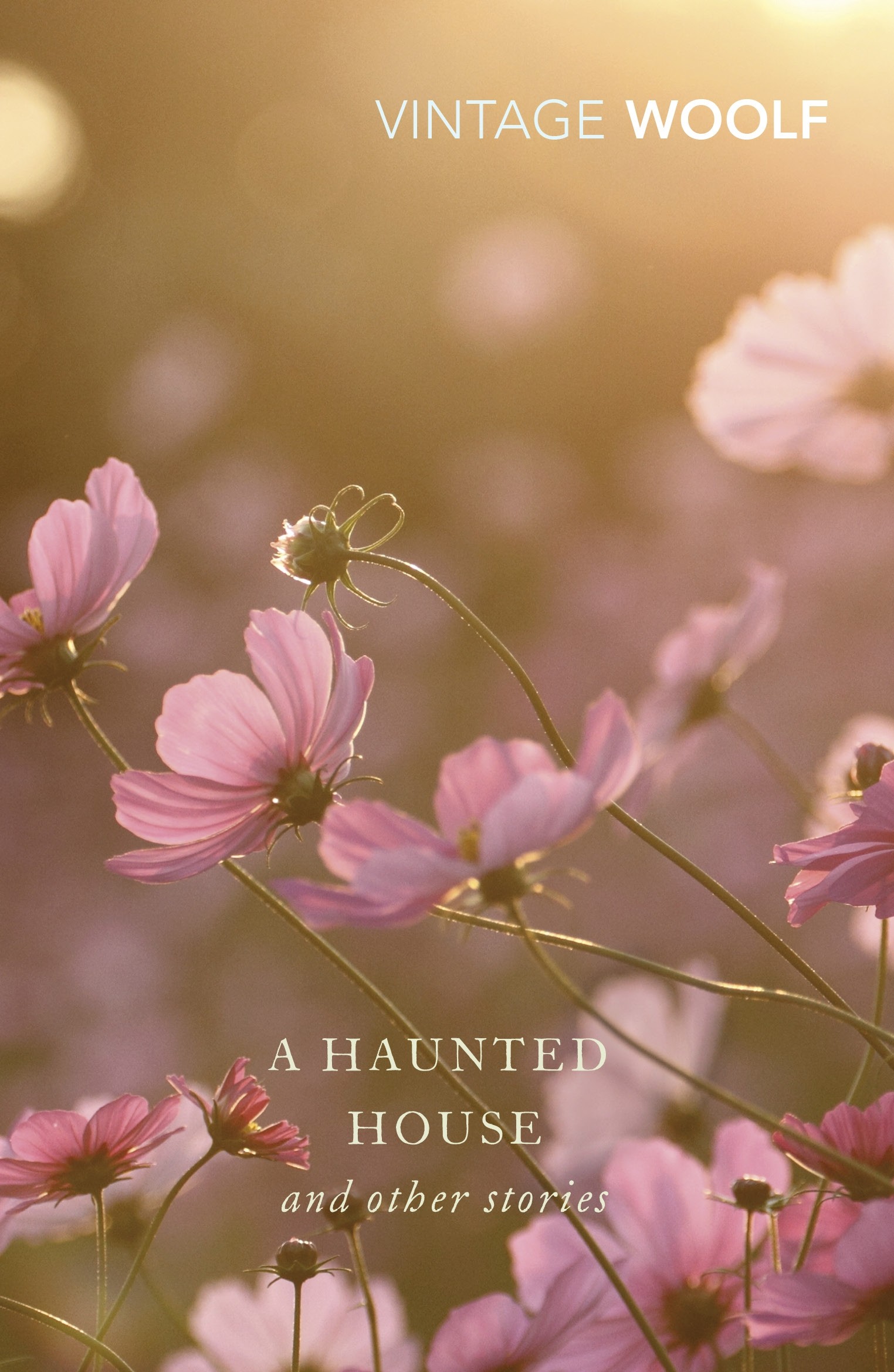 

A Haunted House And Other Stories