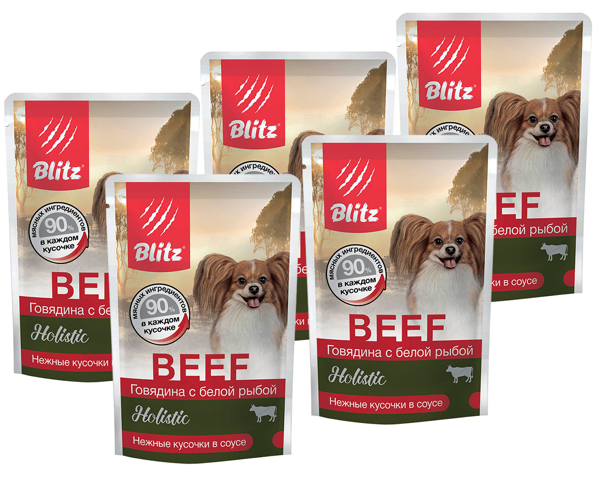 

Влажный корм для собак BLITZ HOLISTIC BEEF, с говядиной и белой рыбой, 5 шт по 85 г