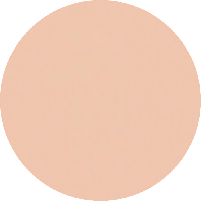 

Тон-корректор серии "DC"/DC Camouflage Cream Refill 4 гр. (Цв: DM2)