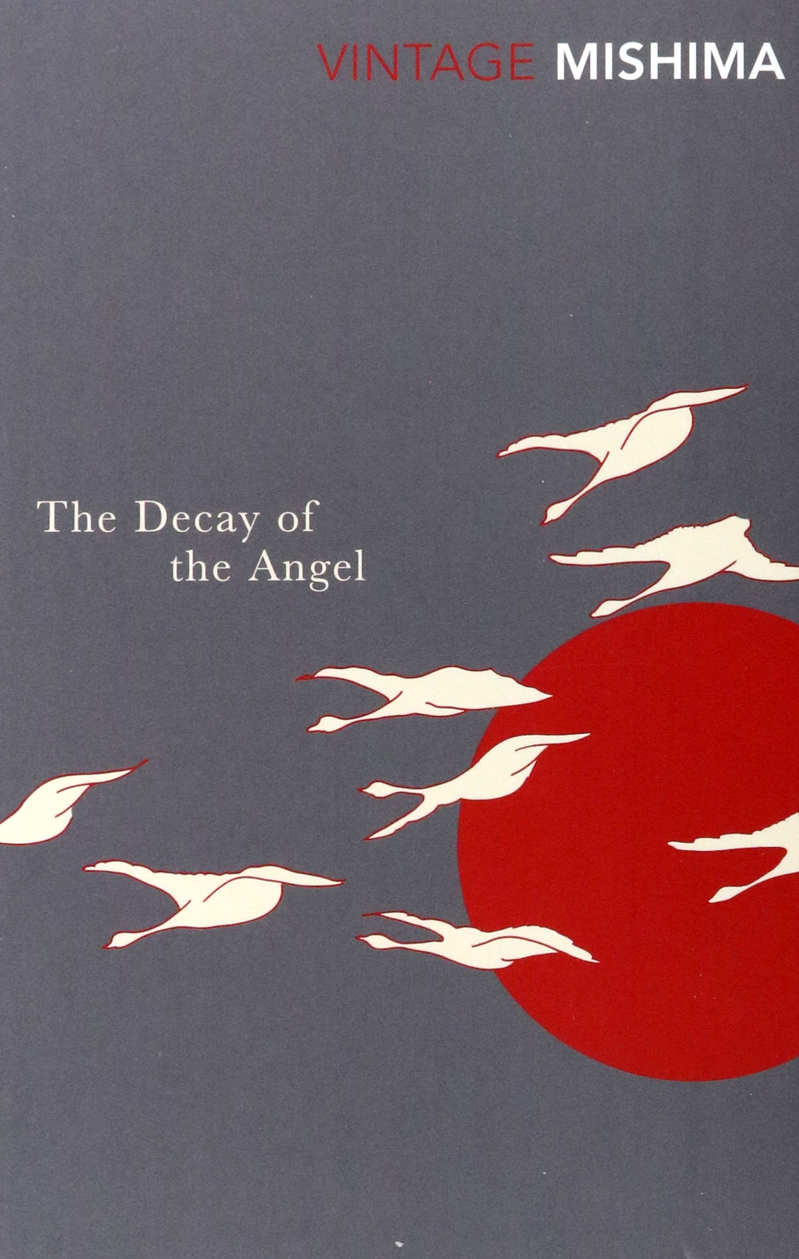 

The Decay of the Angel