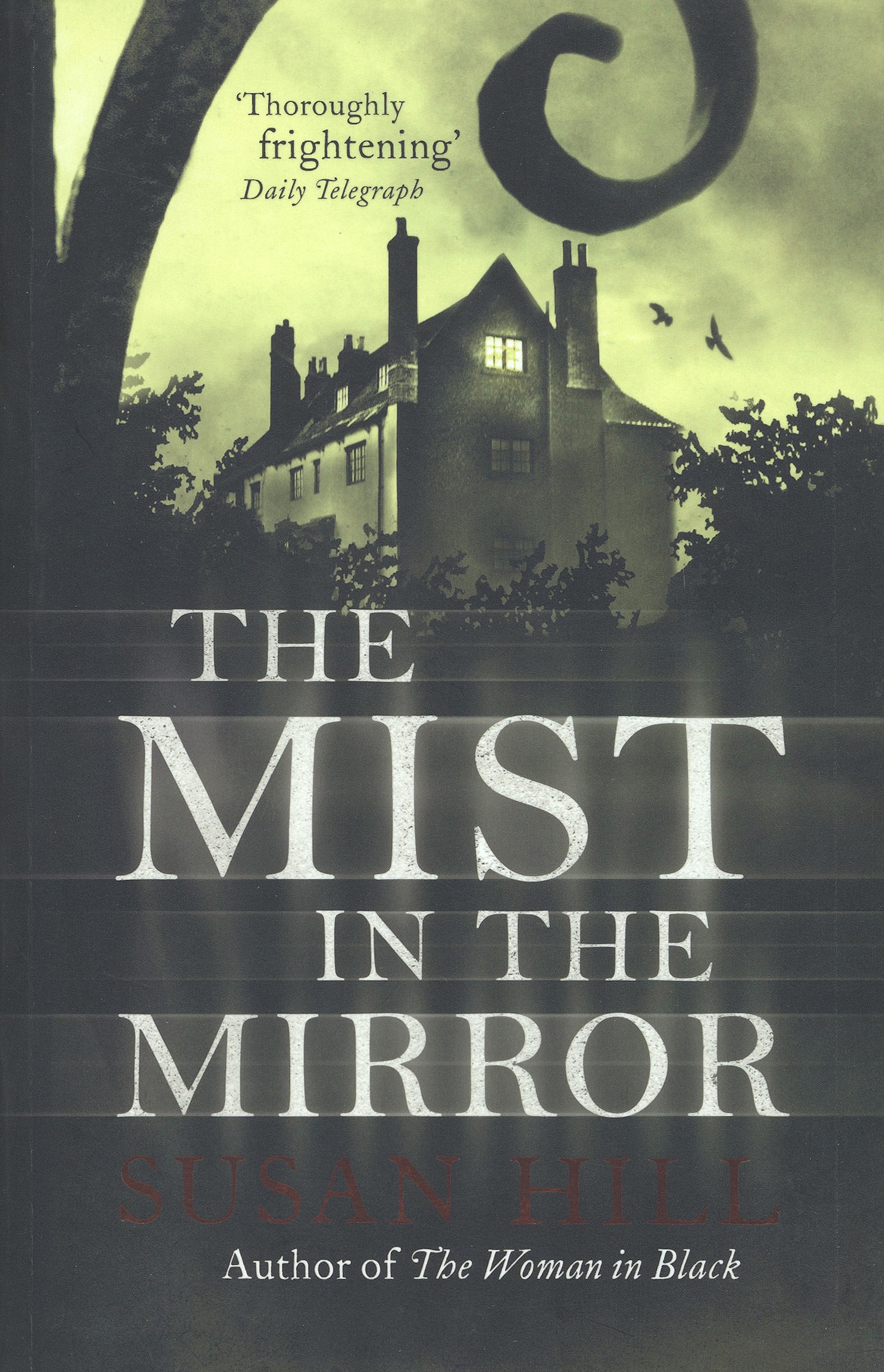 

The Mist in the Mirror