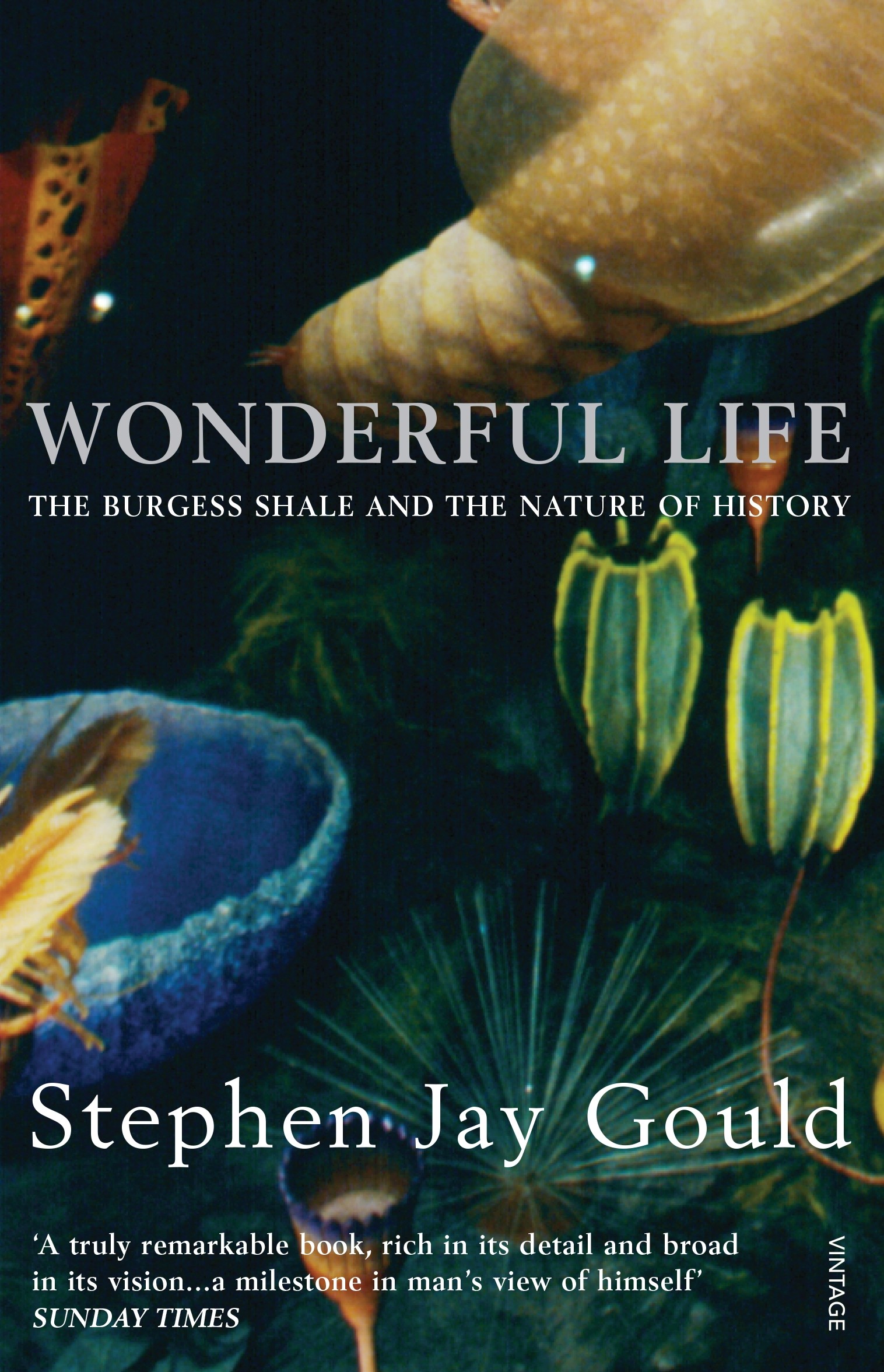 

Wonderful Life