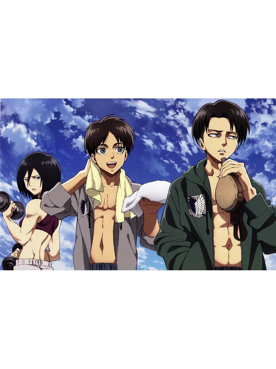 

Постер DRABS A3 Атака титанов Леви и Эрен и Микаса 1